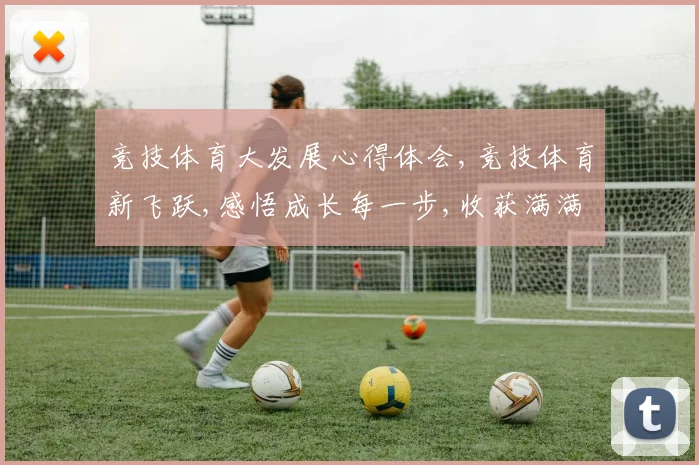 竞技体育大发展心得体会,竞技体育新飞跃,感悟成长每一步,收获满满体验深